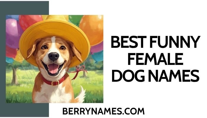 Best Funny Female Dog Names