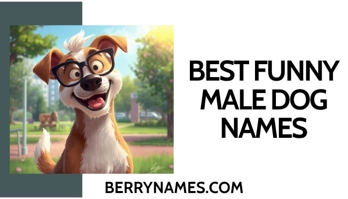 Best Funny Male Dog Names 