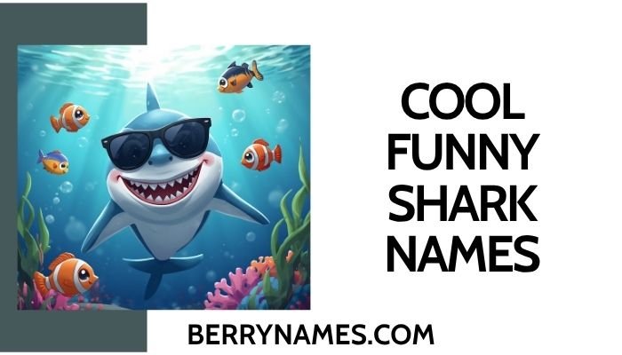 Cool Funny Shark Names