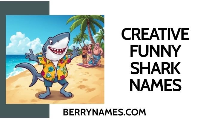 Creative Funny Shark Names