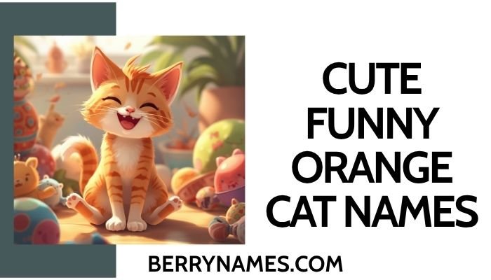 Cute Funny Orange Cat Names