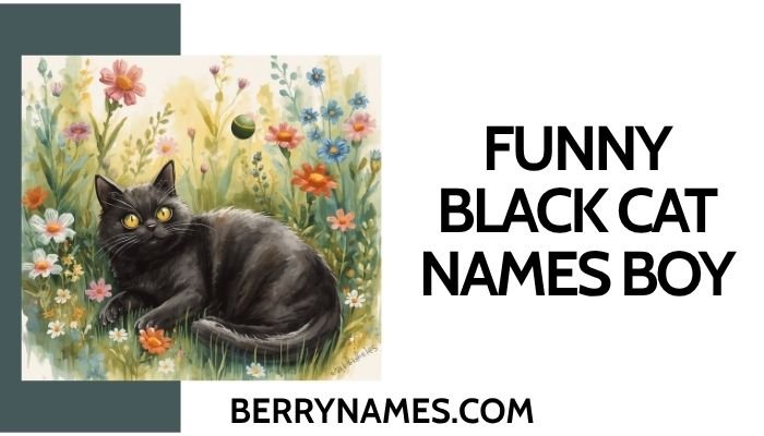 Funny Black Cat Names Boy