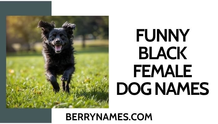 Funny Black Female Dog Names