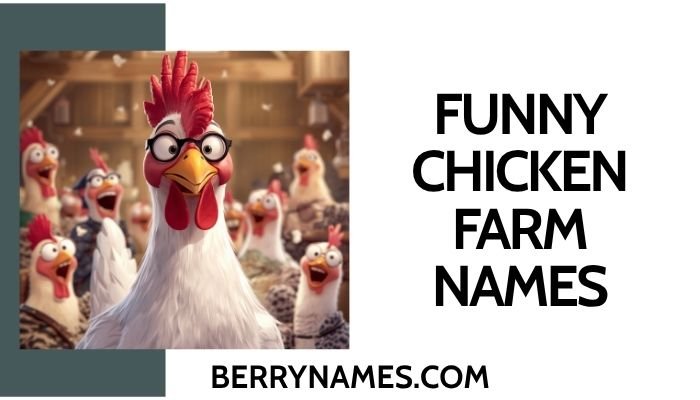 Funny Chicken Farm Names
