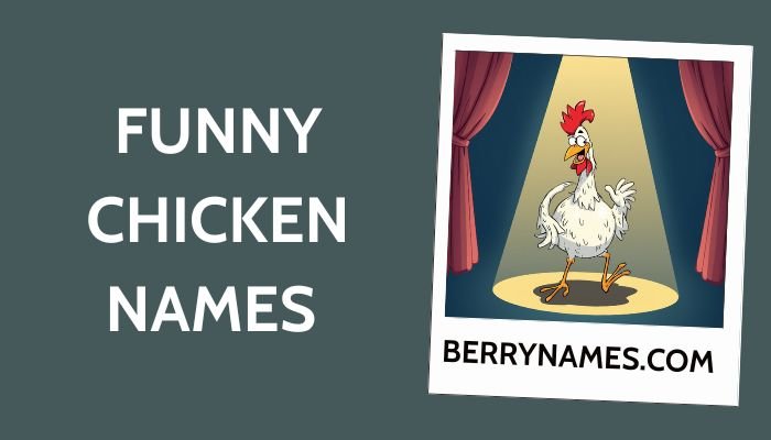 Funny Chicken Names