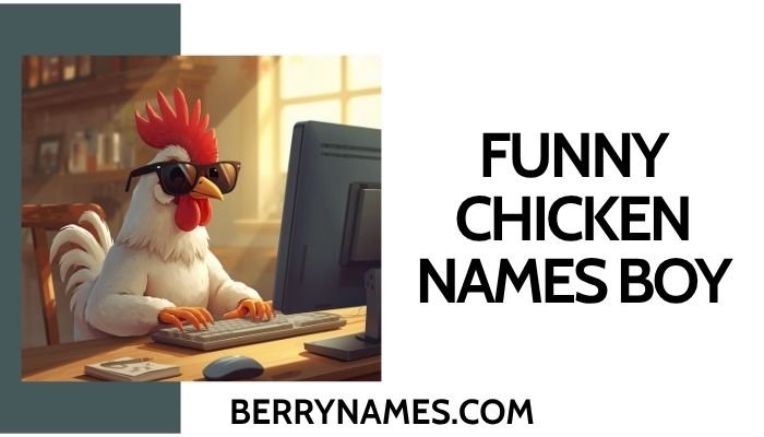 Funny Chicken Names Boy