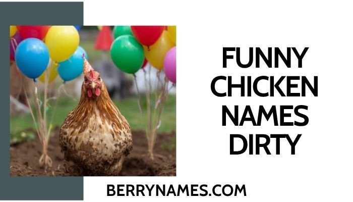 Funny Chicken Names Dirty