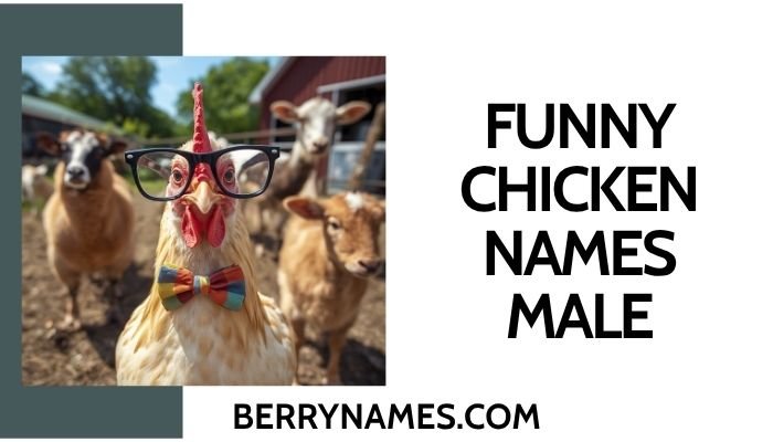 Funny Chicken Names Male