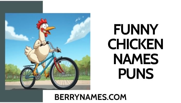 Funny Chicken Names Puns