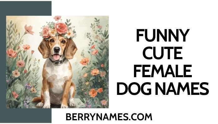 Funny Cute Female Dog Names