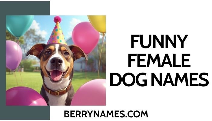 Funny Female Dog Names (1)