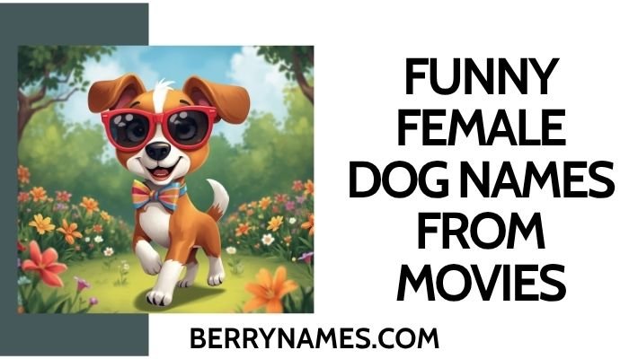 Funny Female Dog Names From Movies