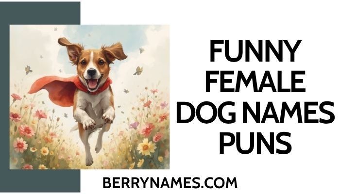 Funny Female Dog Names Puns