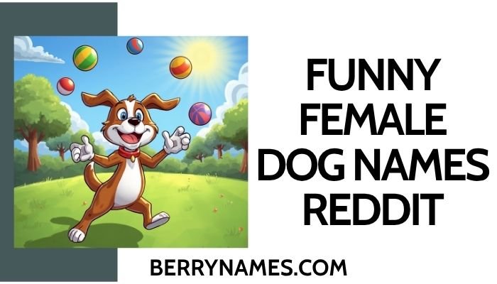 Funny Female Dog Names Reddit