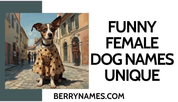 Funny Female Dog Names Unique