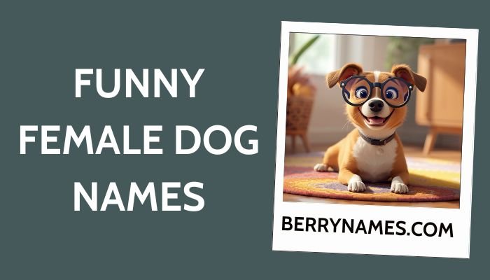 Funny Female Dog Names