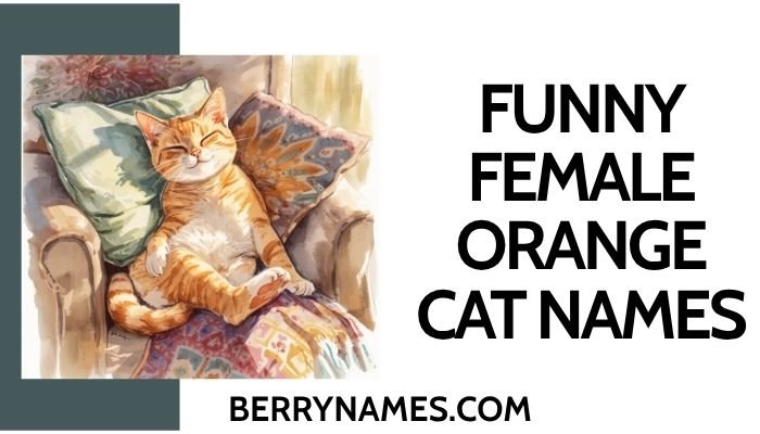 Funny Female Orange Cat Names