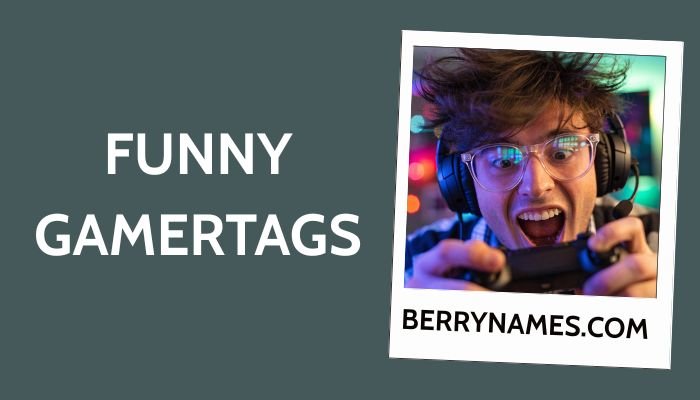 Funny Gamertags