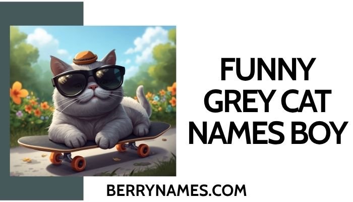 Funny Grey Cat Names Boy