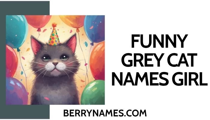 Funny Grey Cat Names Girl