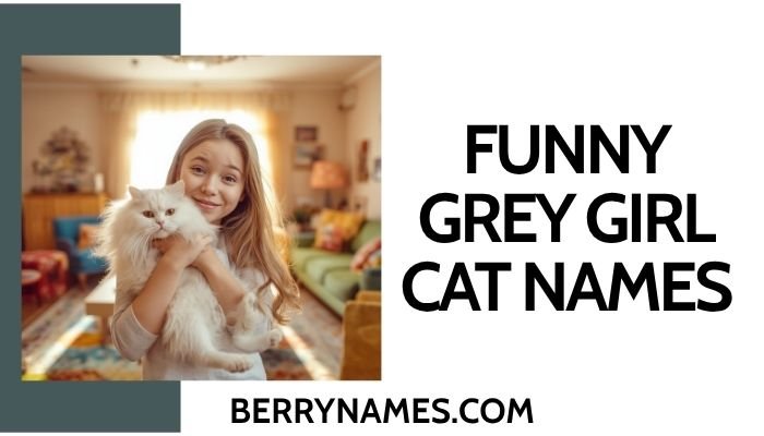 Funny Grey Girl Cat Names