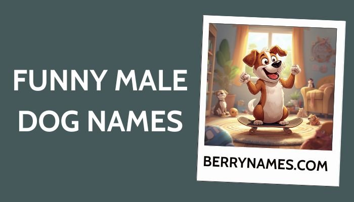Funny Male Dog Names