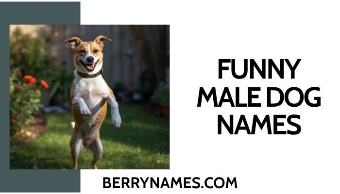 Funny Male Dog Names (2)