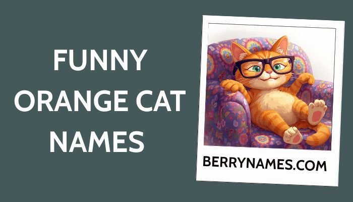 Funny Orange Cat Names