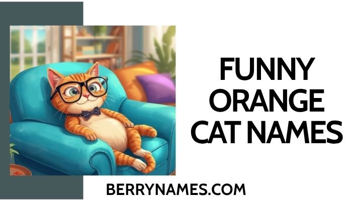 Funny Orange Cat Names (1)
