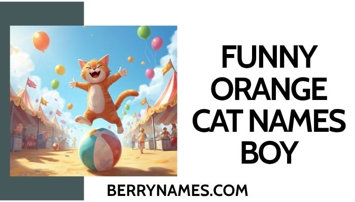 Funny Orange Cat Names Boy