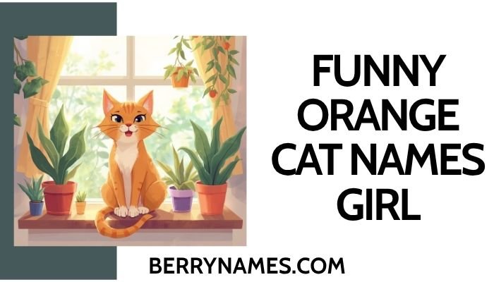 Funny Orange Cat Names Girl