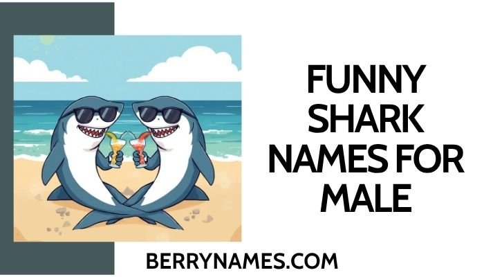 Funny Shark Names For Male (1)