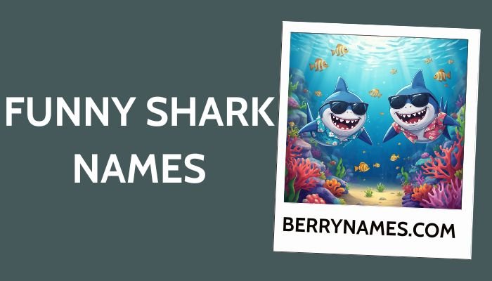 Funny Shark Names