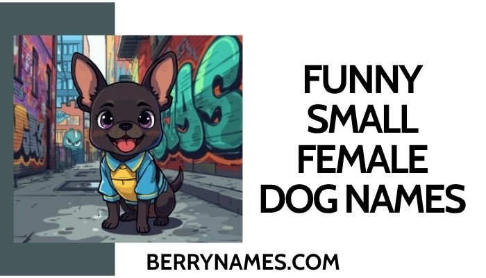 Funny Small Female Dog Names