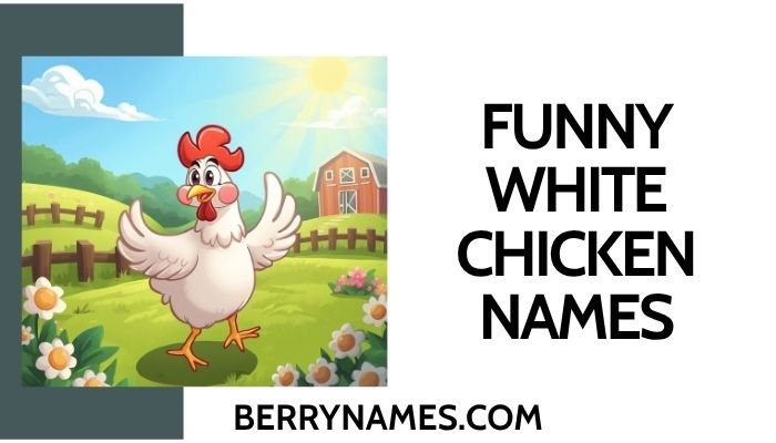 Funny White Chicken Names