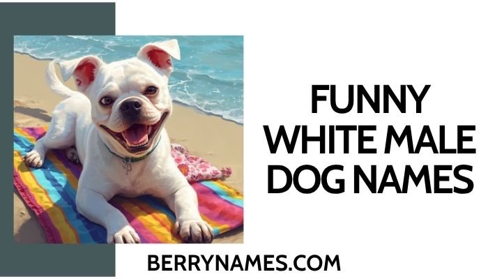 Funny White Male Dog Names 
