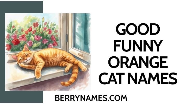 Good Funny Orange Cat Names