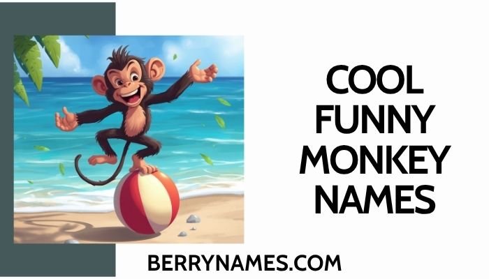 Cool Funny Monkey Names