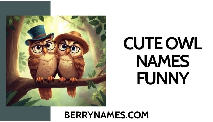 Cute Owl Names Funny