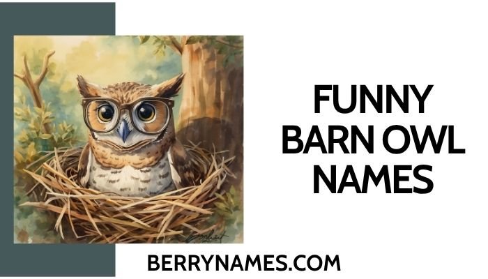 Funny Barn Owl Names
