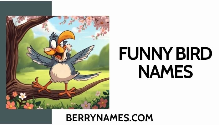 Funny Bird Names 