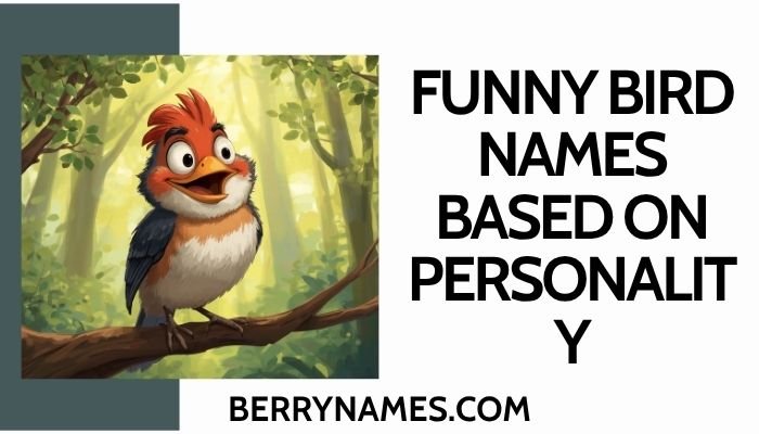 Funny Bird Names Based on Personality