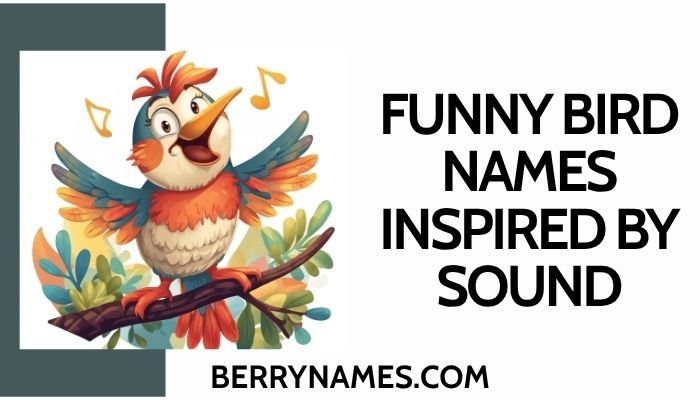 Funny Bird Names Inspired by Sounds