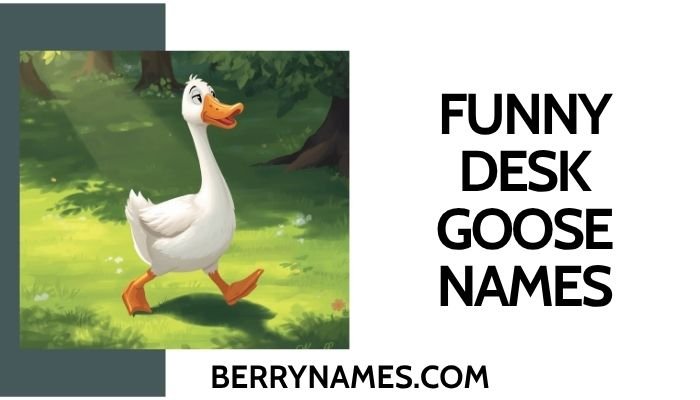 Funny Desk Goose Names
