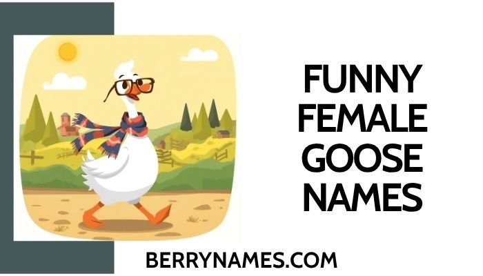 Funny Female Goose Names