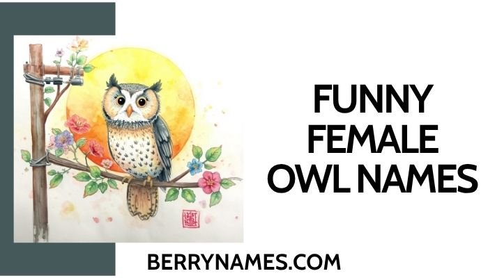 Funny Female Owl Names