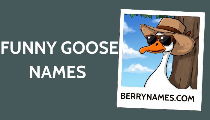 Funny Goose Names