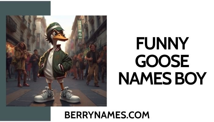 Funny Goose Names Boy