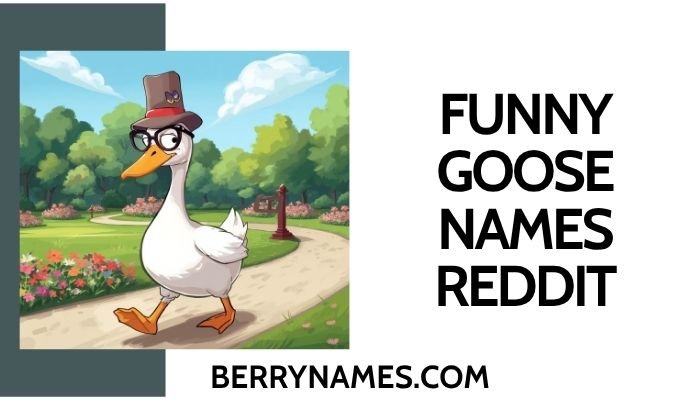 Funny Goose Names Reddit