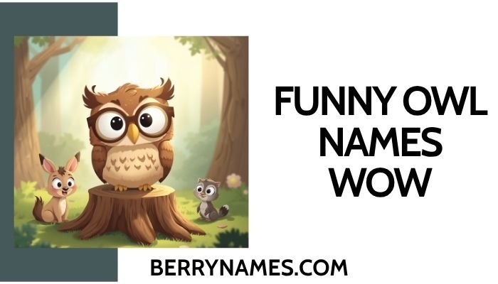 Funny Owl Names WoW